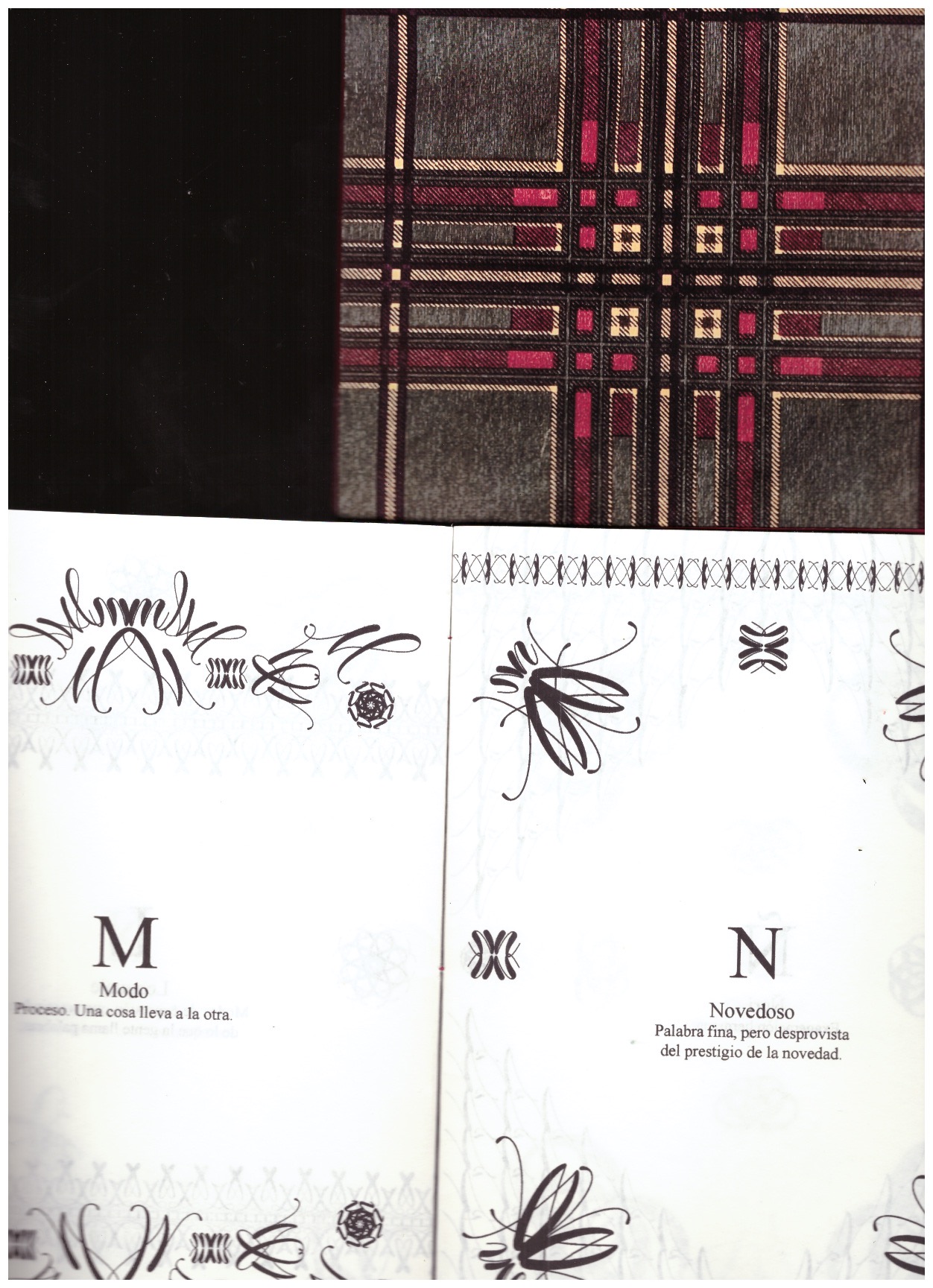 TESTONI, Magdalena - Un diccionario